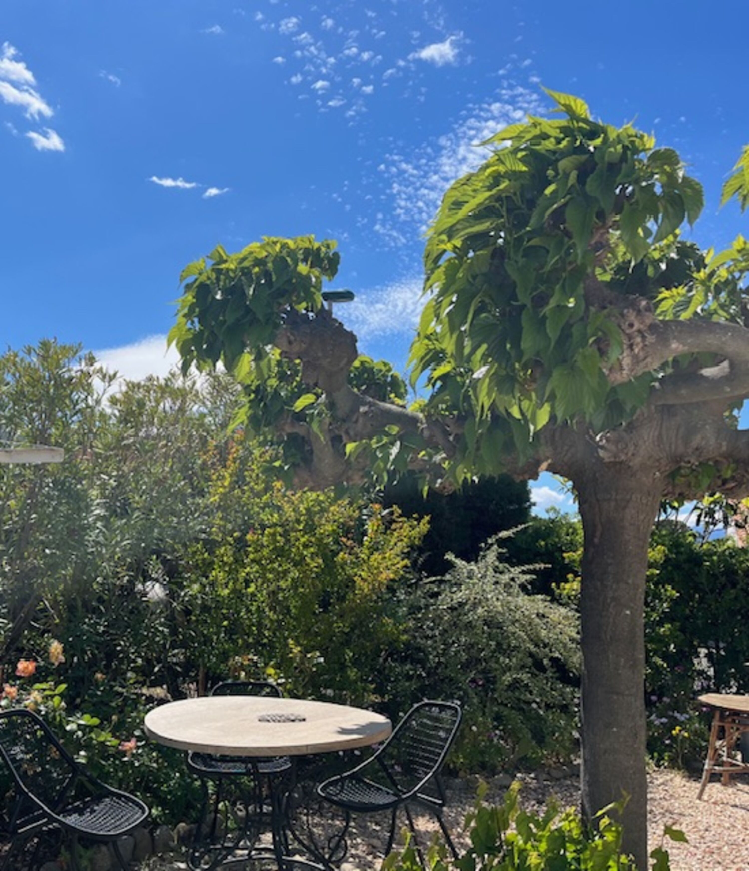 Garten