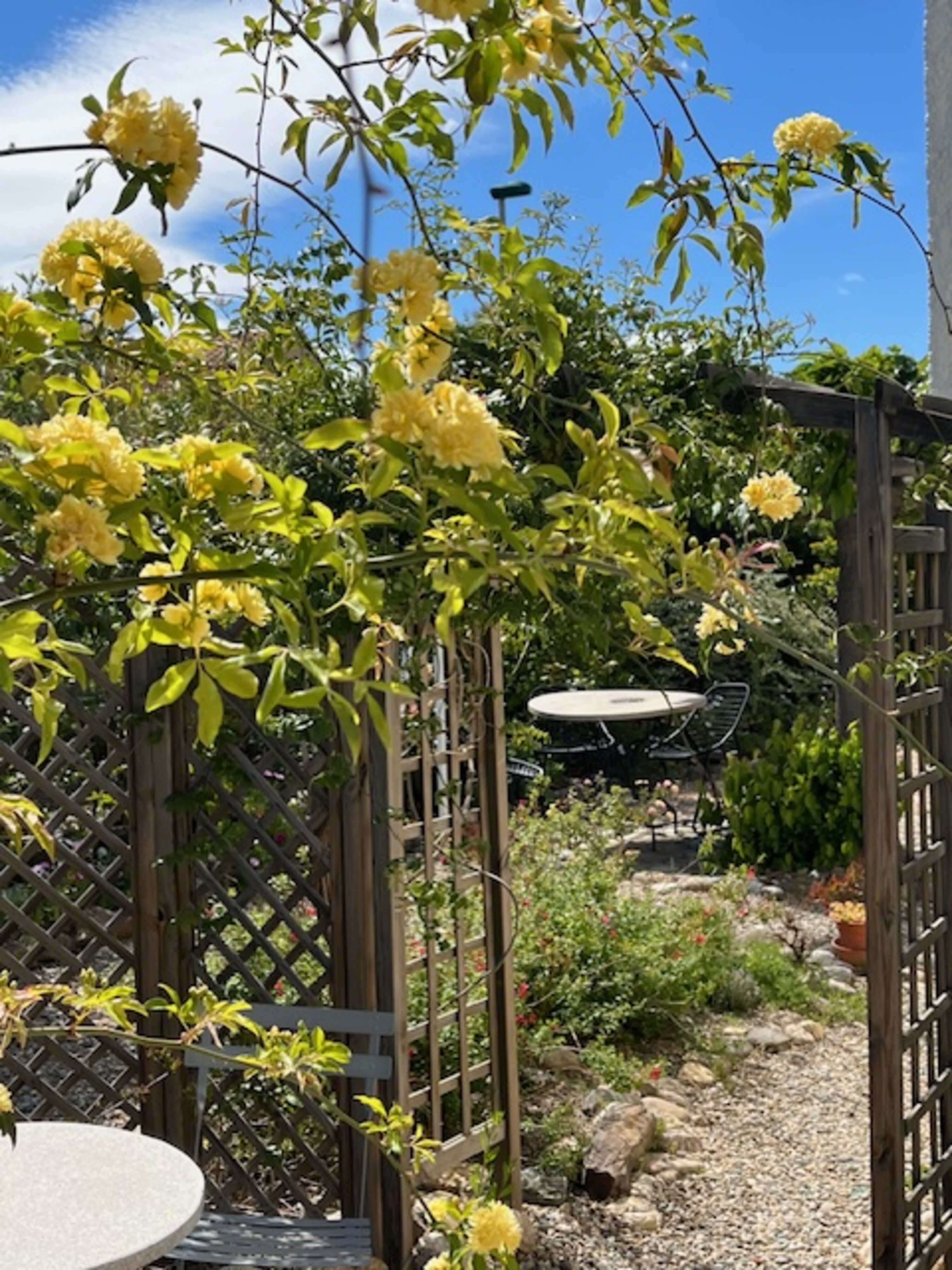 Garten