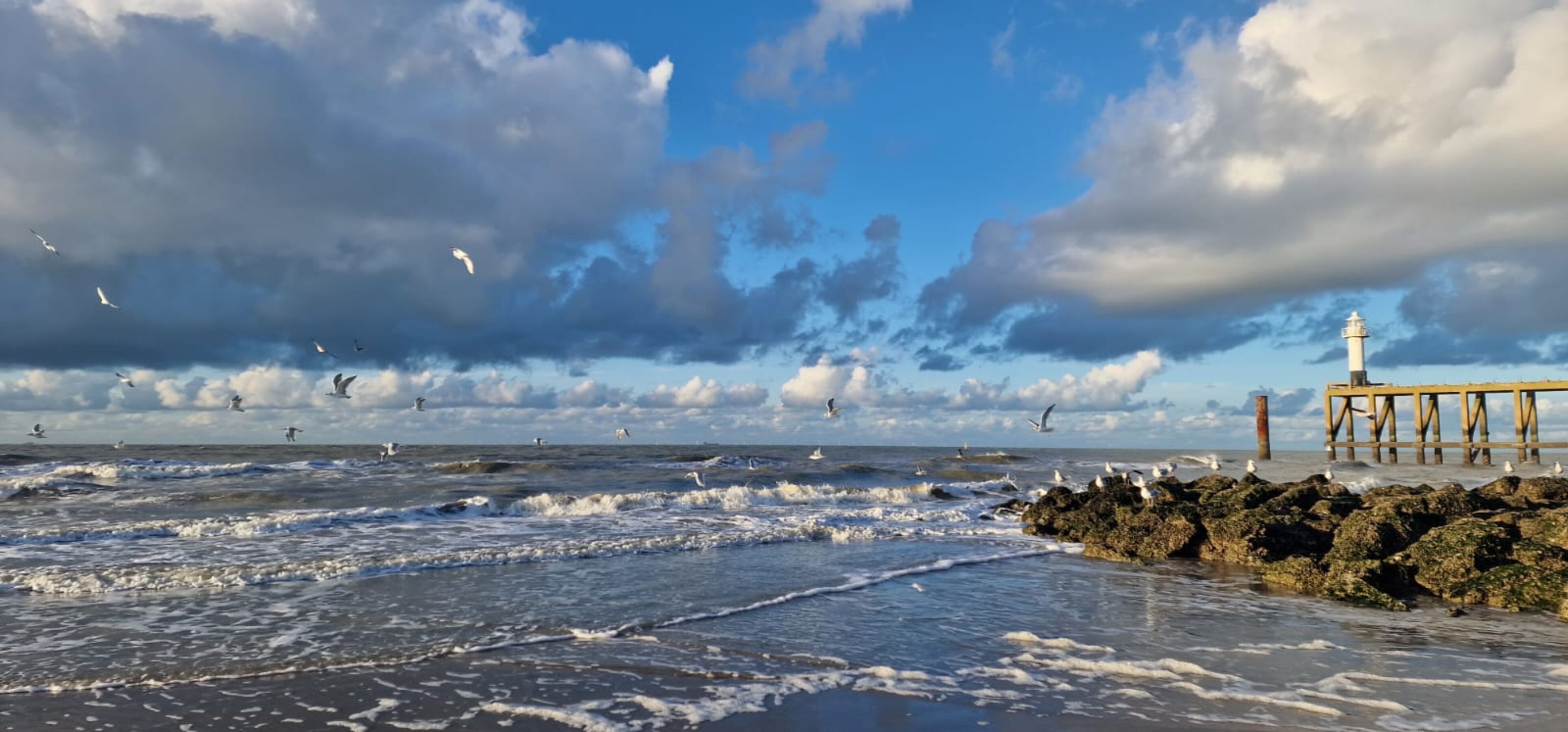 Die wilde Nordsee