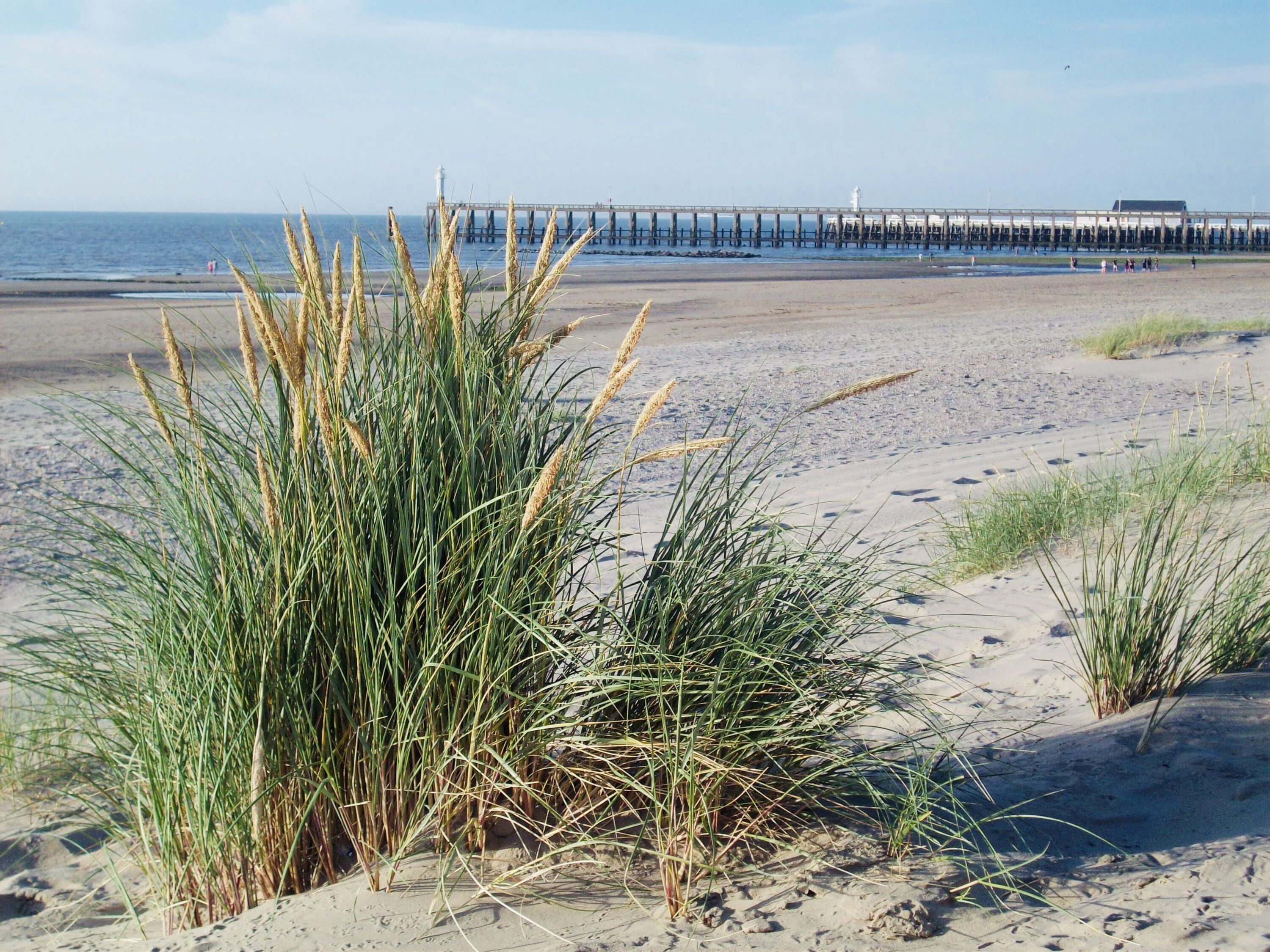 Blick auf Leuchtturm von Blankenberge