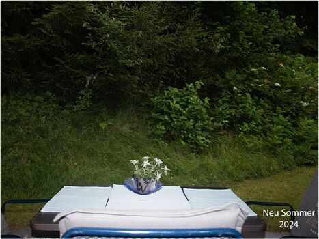 Blick von der Terrasse