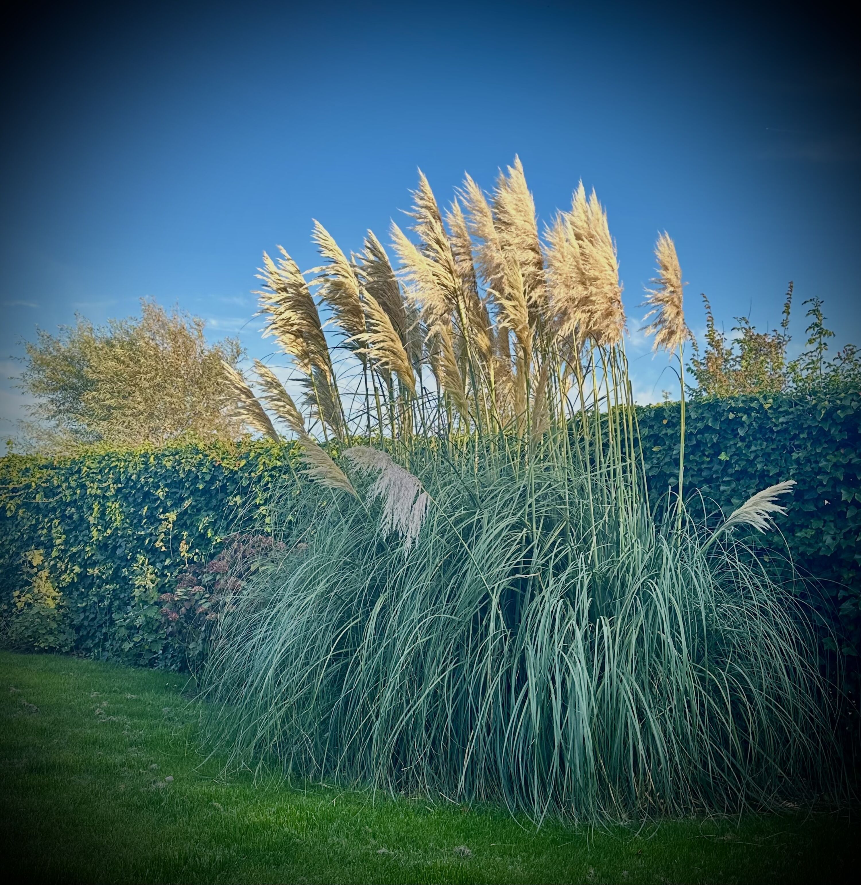 Bild 11