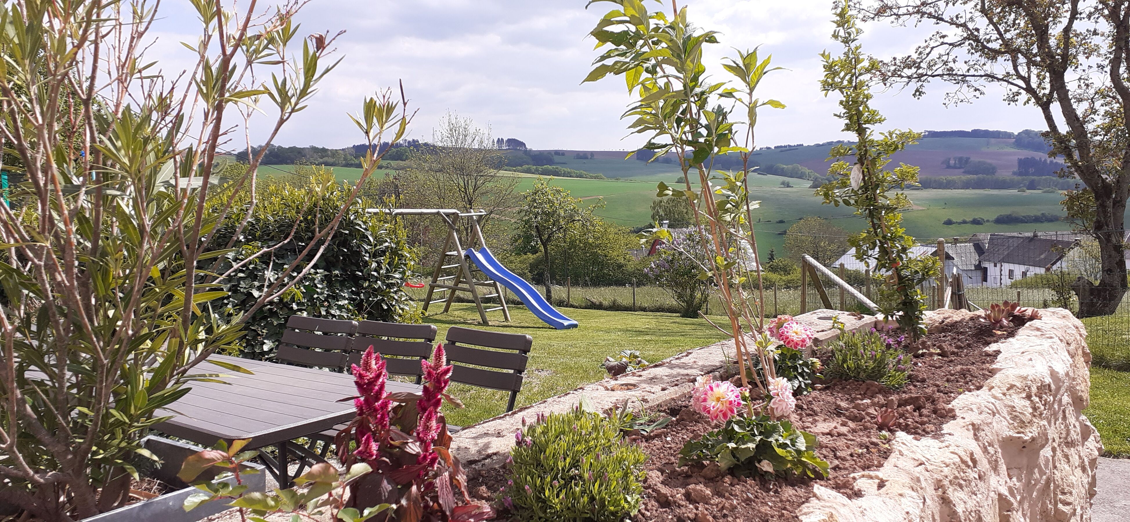 Blick in den Garten