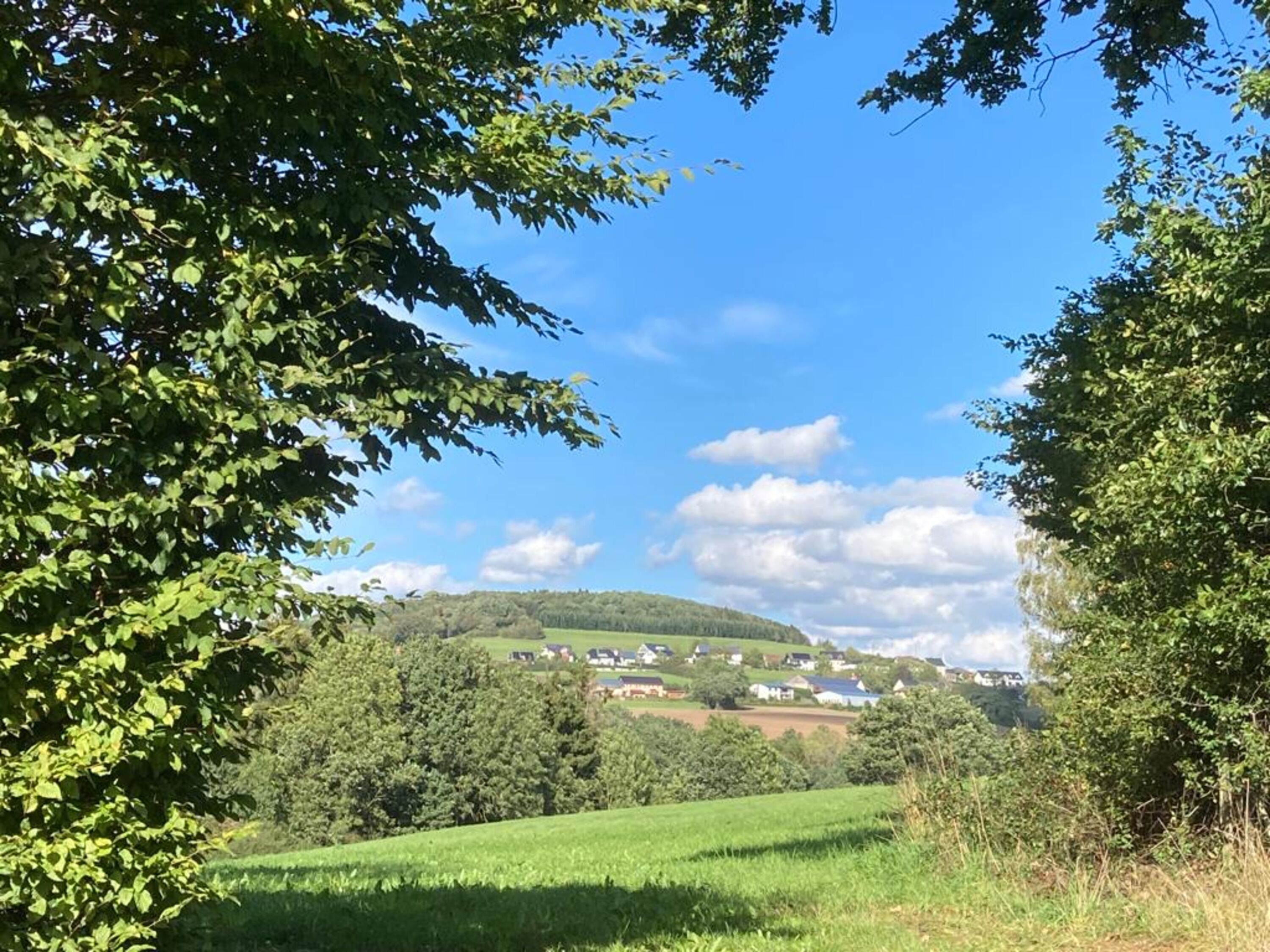 Blick auf Lierfeld