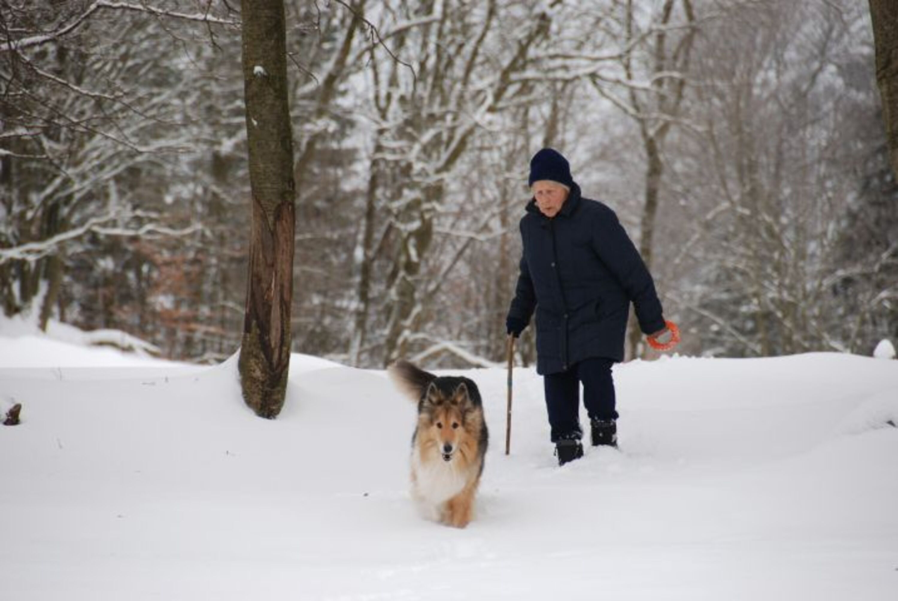 Wintersparziergang 