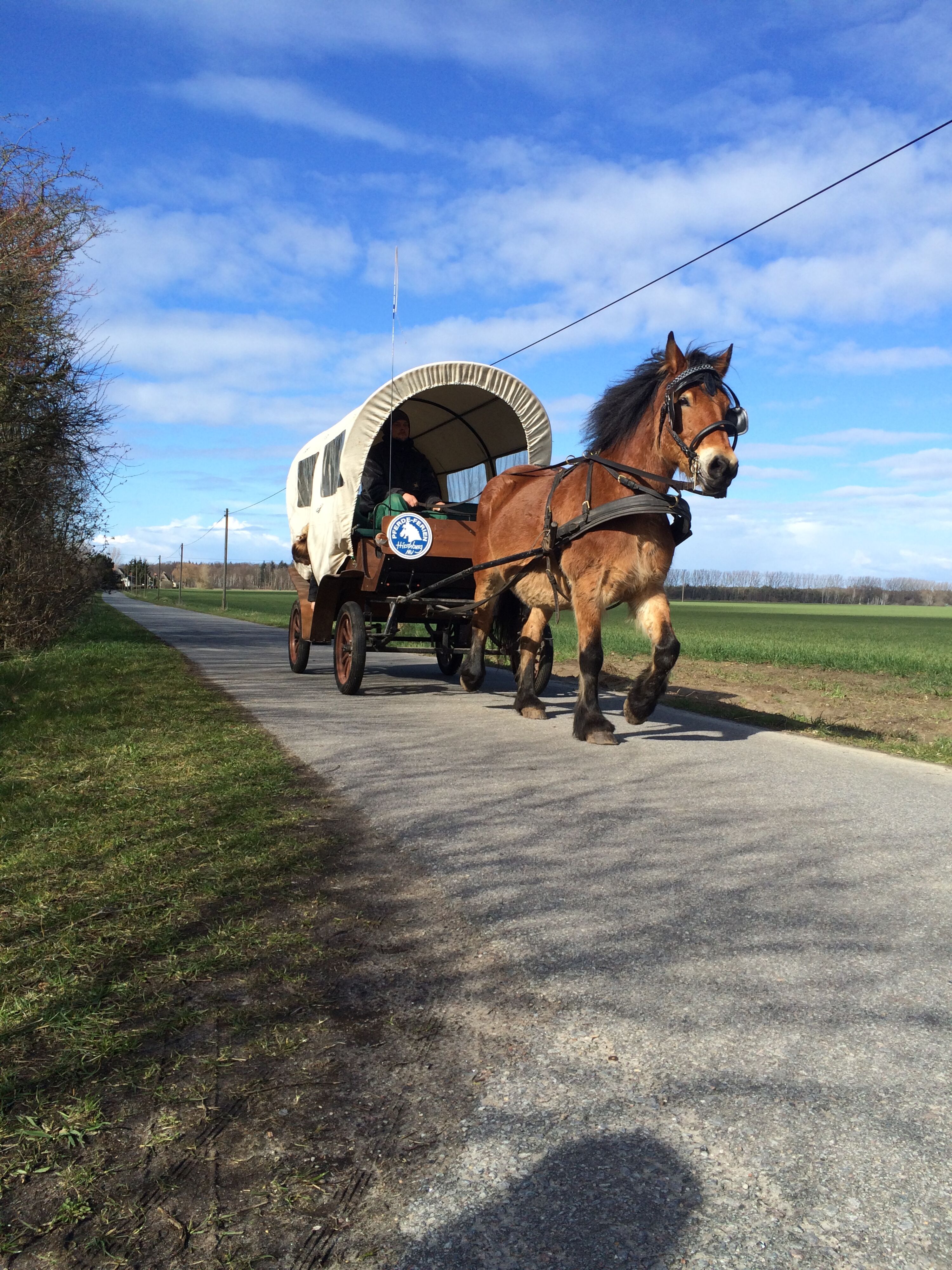 Bild 16