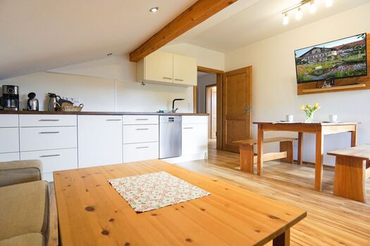 Küche mit Wohnbereich