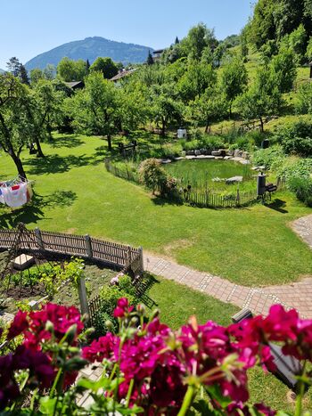 Ausblick der Fewo Apfel auf unseren Garten