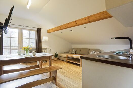 Küche mit Wohnbereich