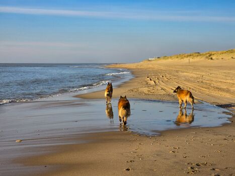 Haus Auszeit - Julianadorp, Nordholland