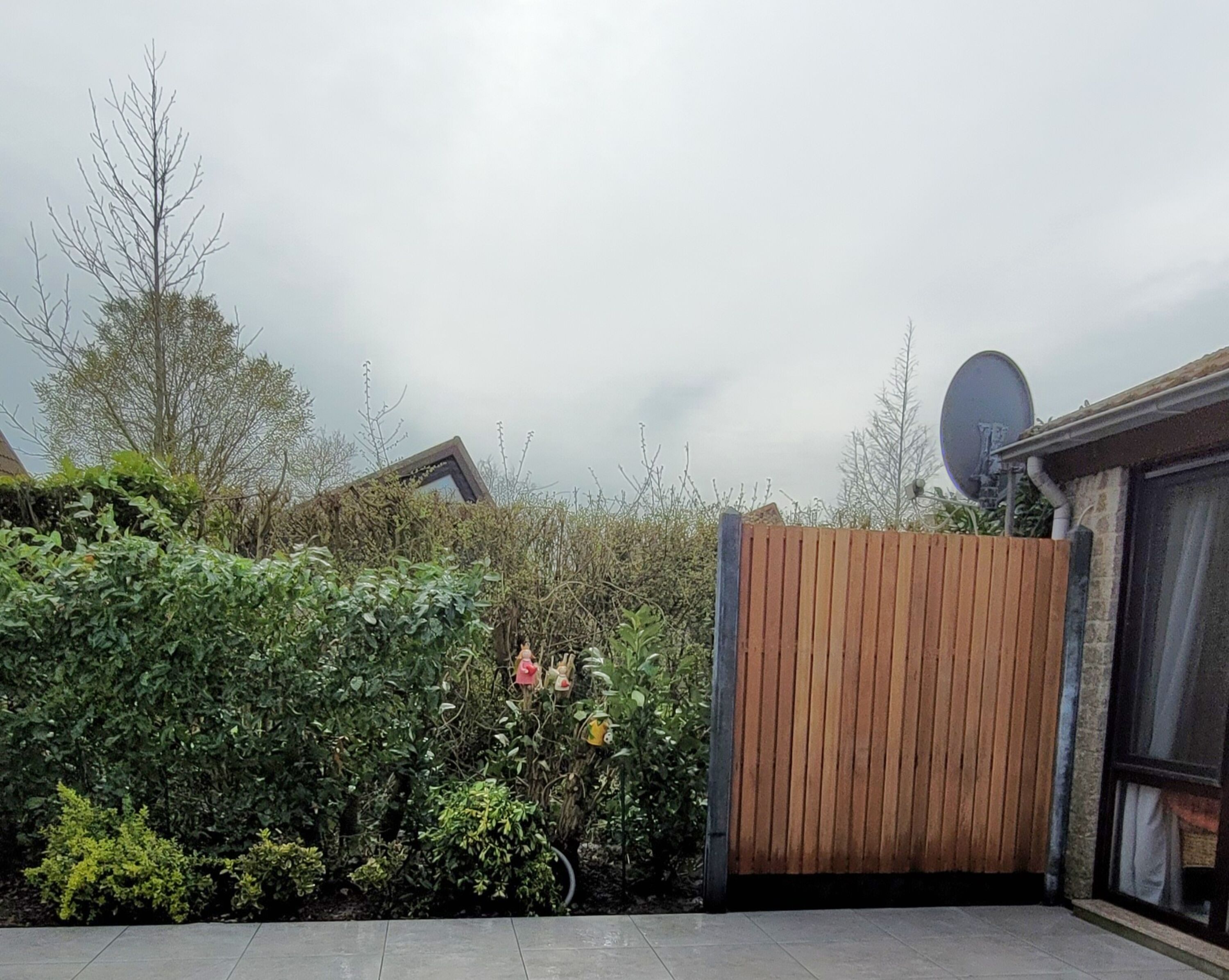 Bild 11