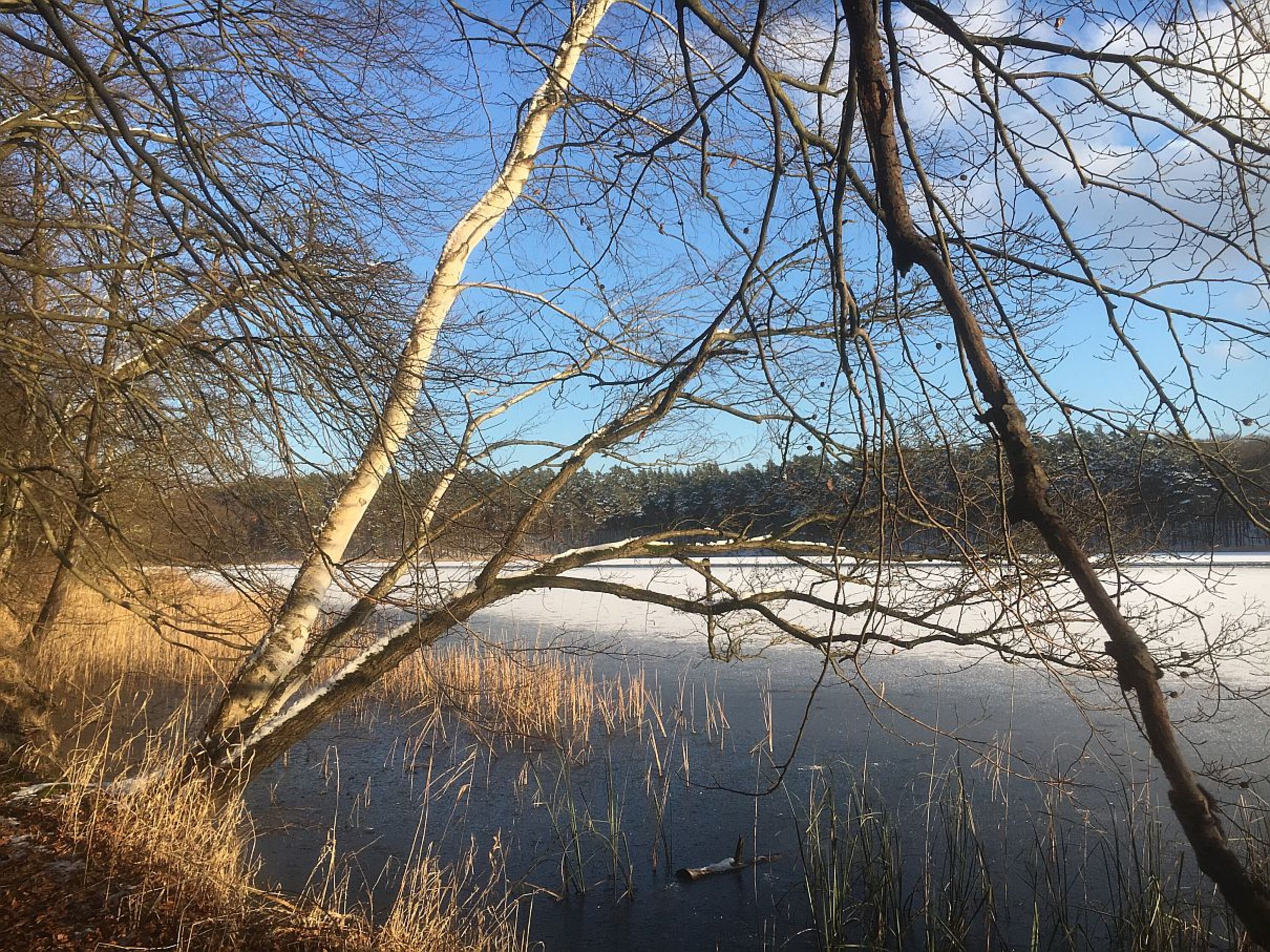 Umgebung Winter