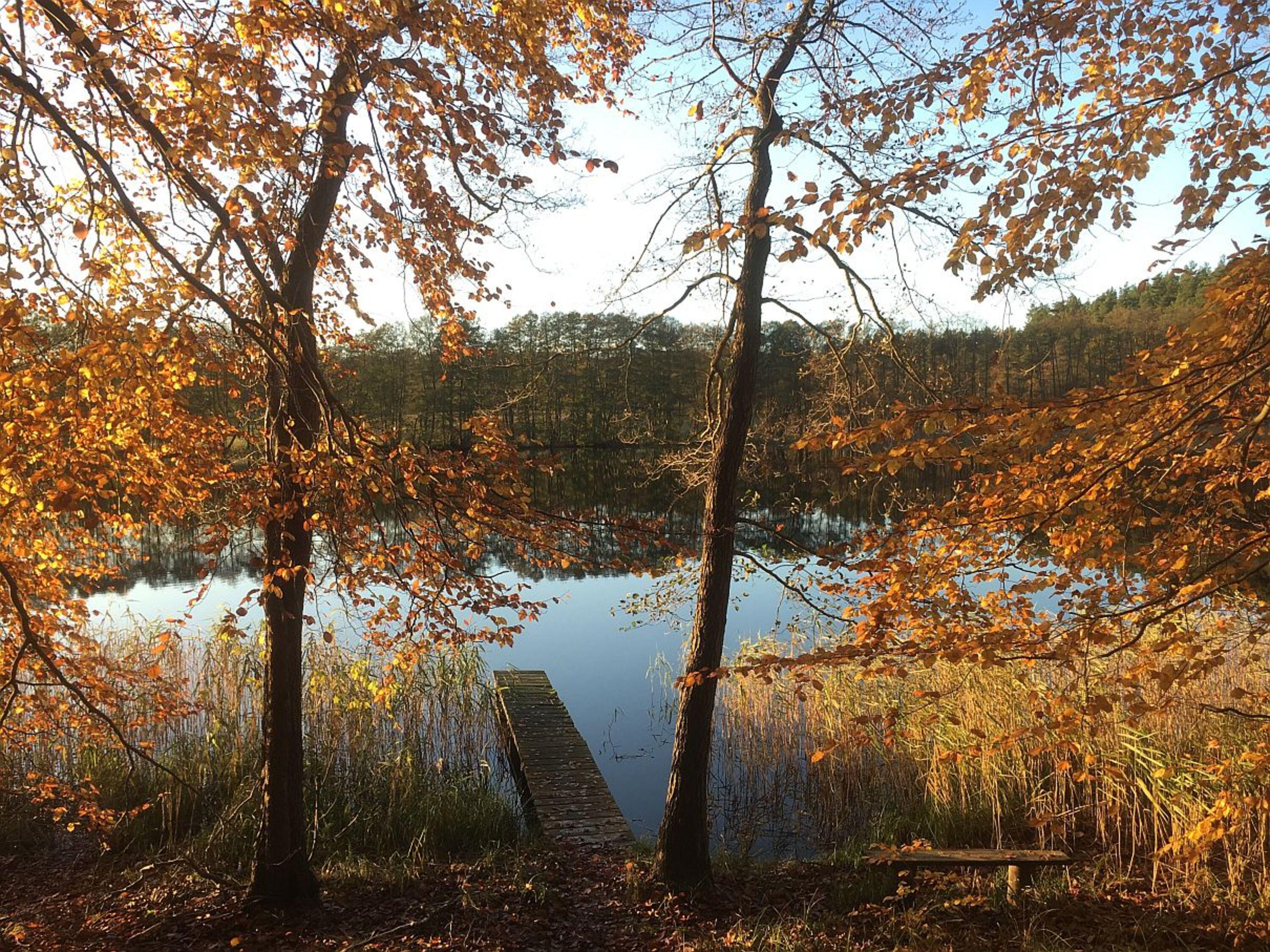 Umgebung Herbst