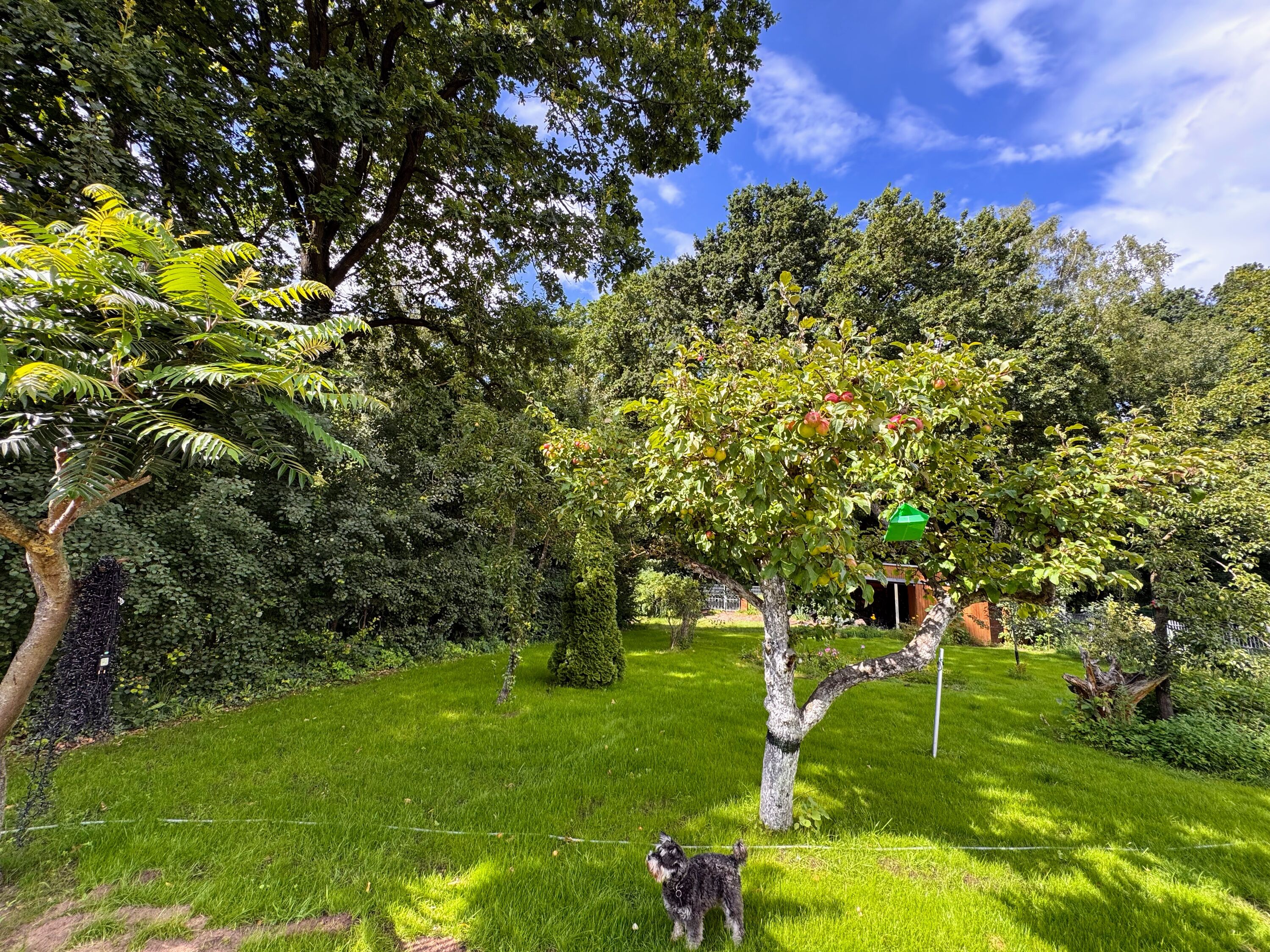Bild 23