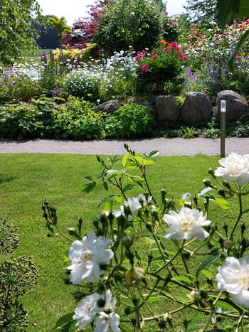 Blick in der bunten Garten