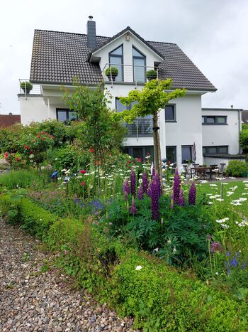 bunter Staudengarten