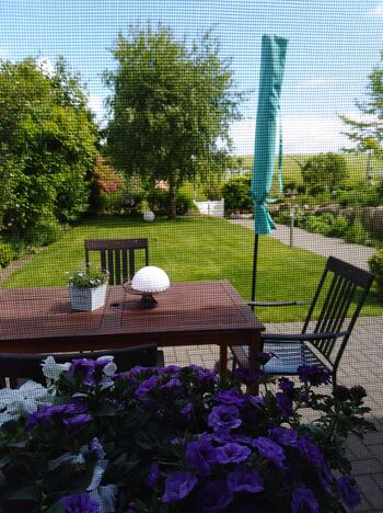 Blick aus dem Küchenfenster