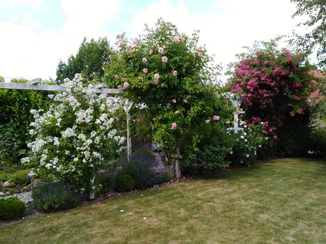 Blick auf die Sitzecke mit Strandkorb
