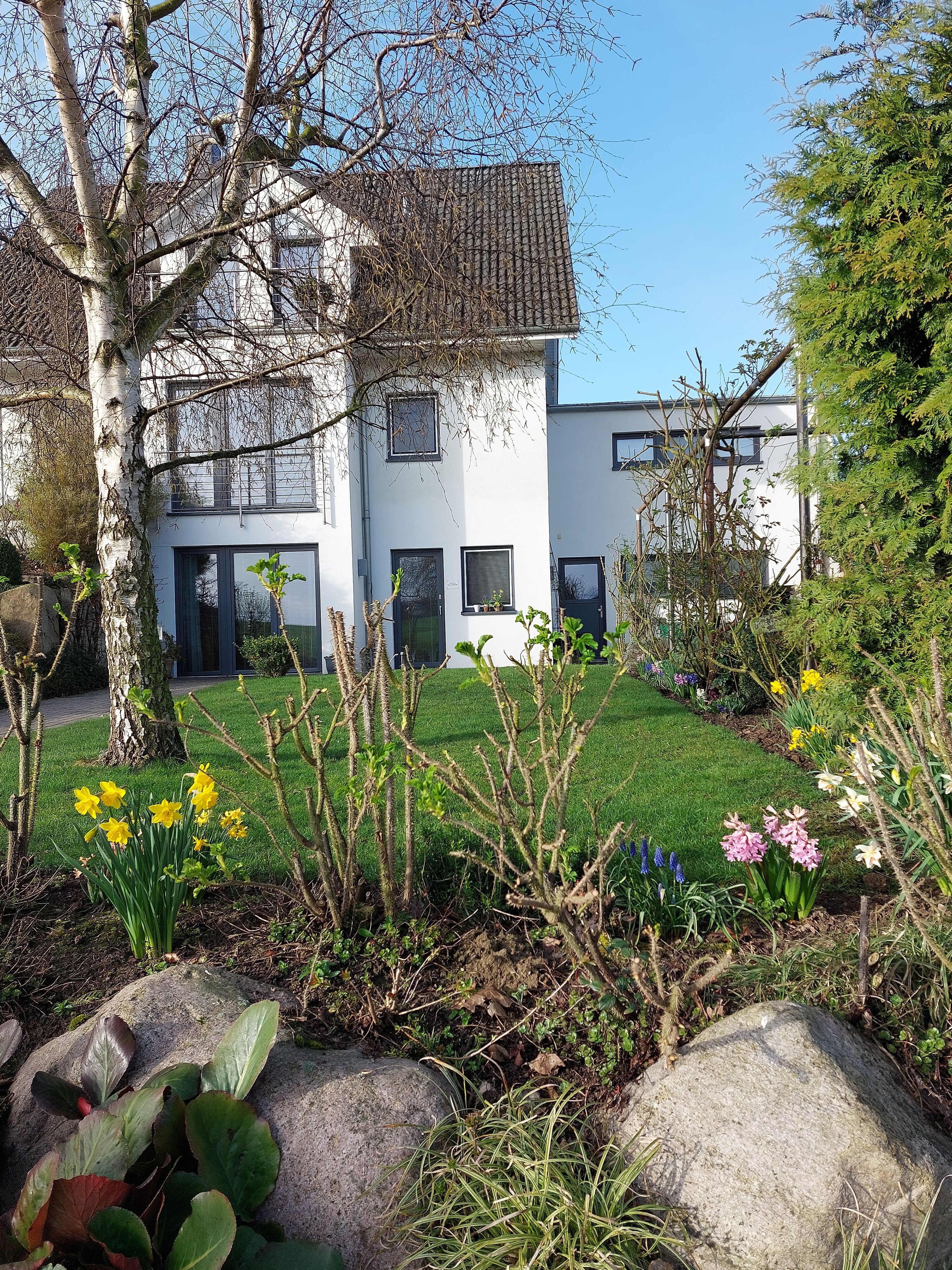 Eingang und Garten zur Wohnung