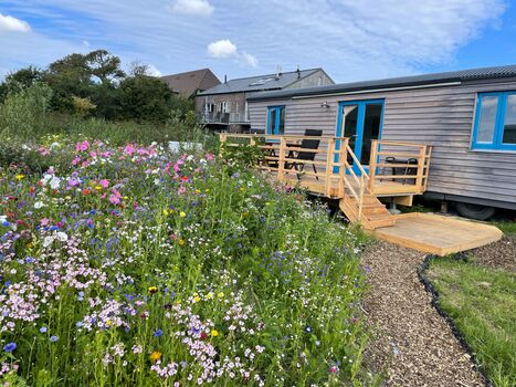 Schäferwagen Deichgraf mit Veranda