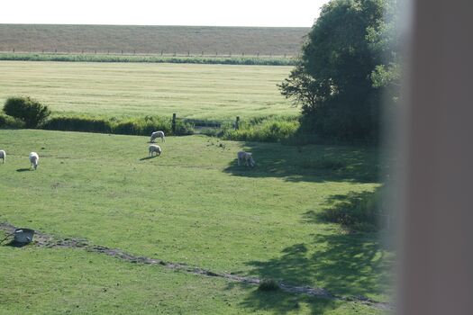 Ausblick auf unsere Schafweiden
