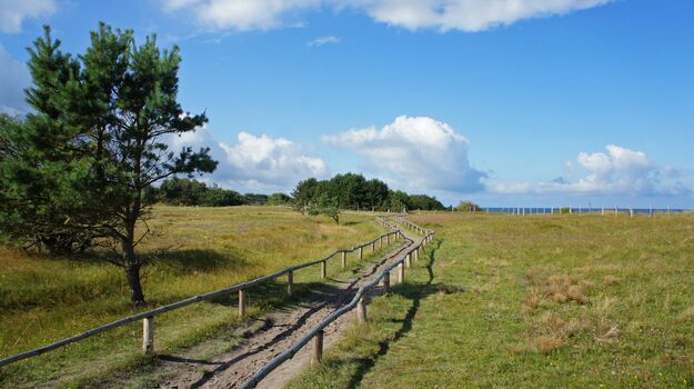 Kreptitzer Heide angrenzend