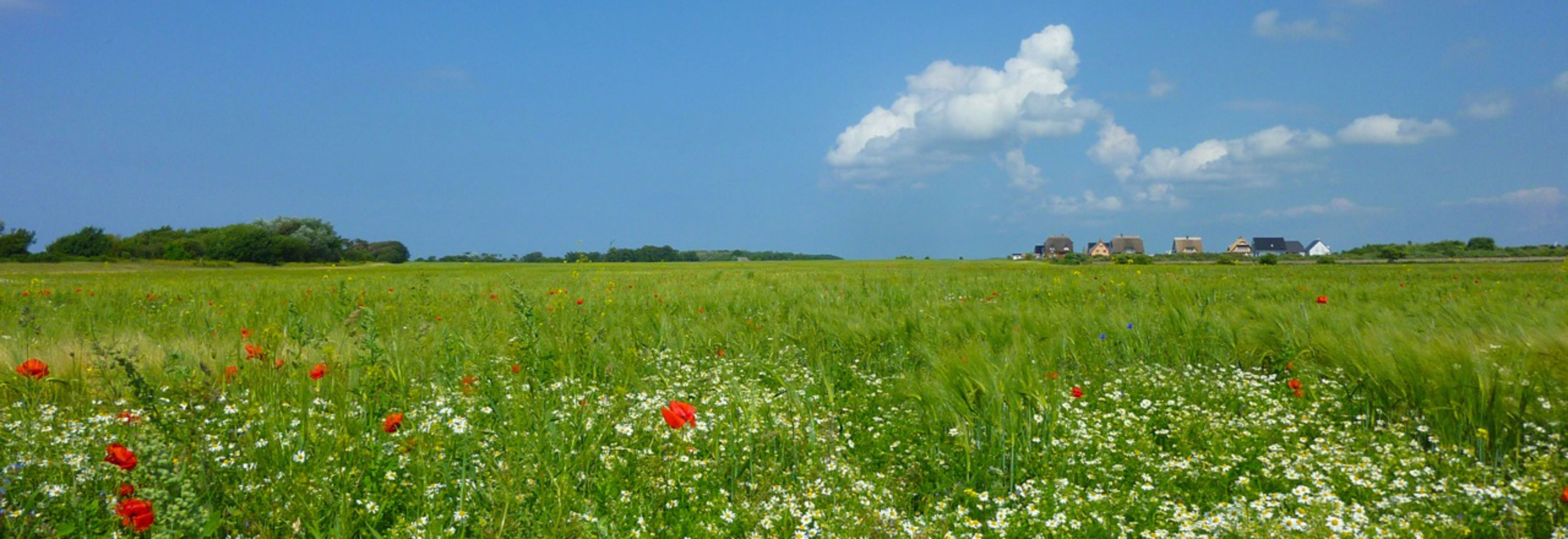 Umgebung