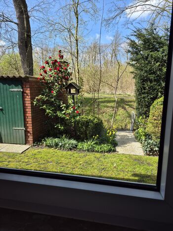 Ausblick aus dem Küchenfenster