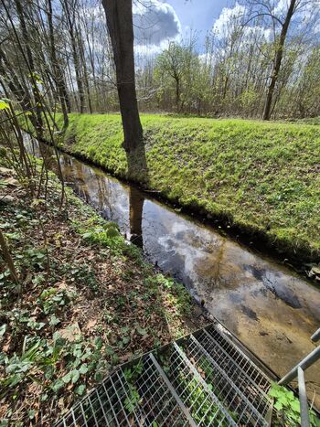 Bach auf dem Grundstück