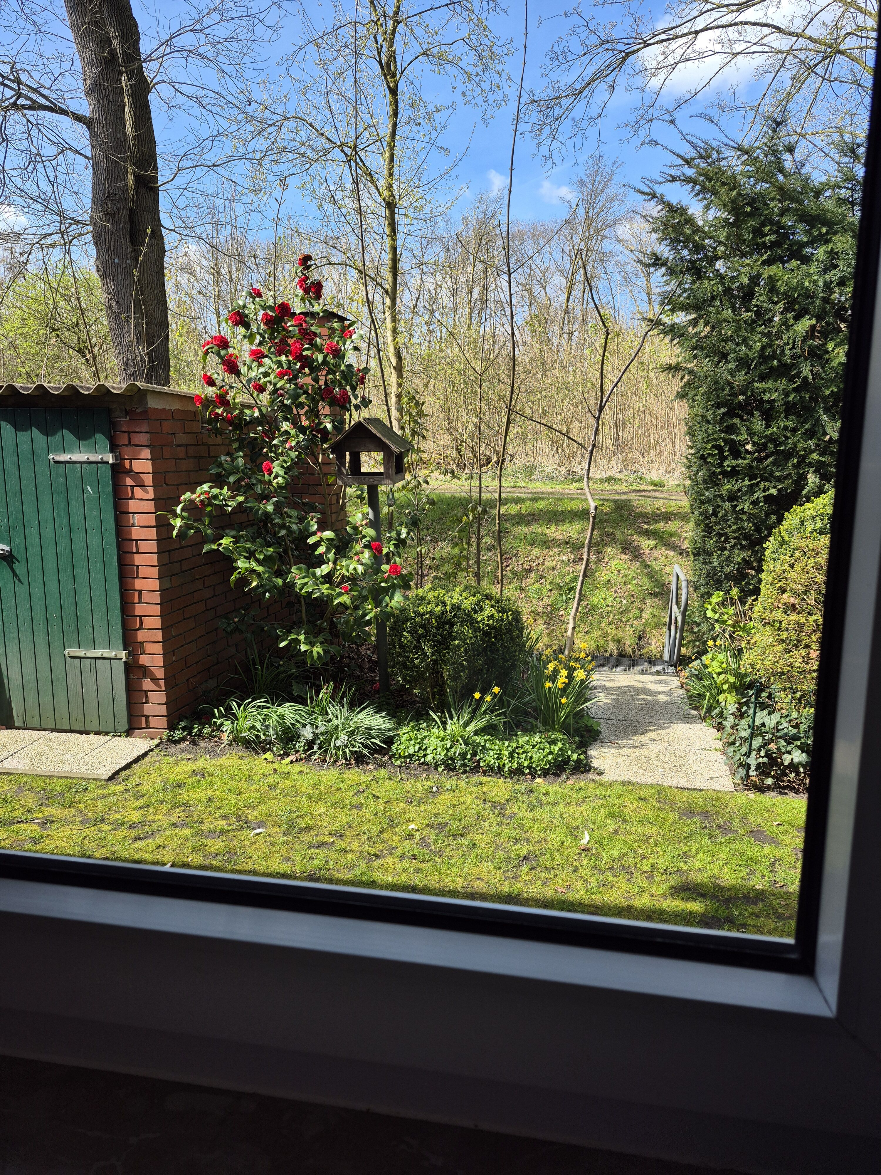 Ausblick aus dem Küchenfenster