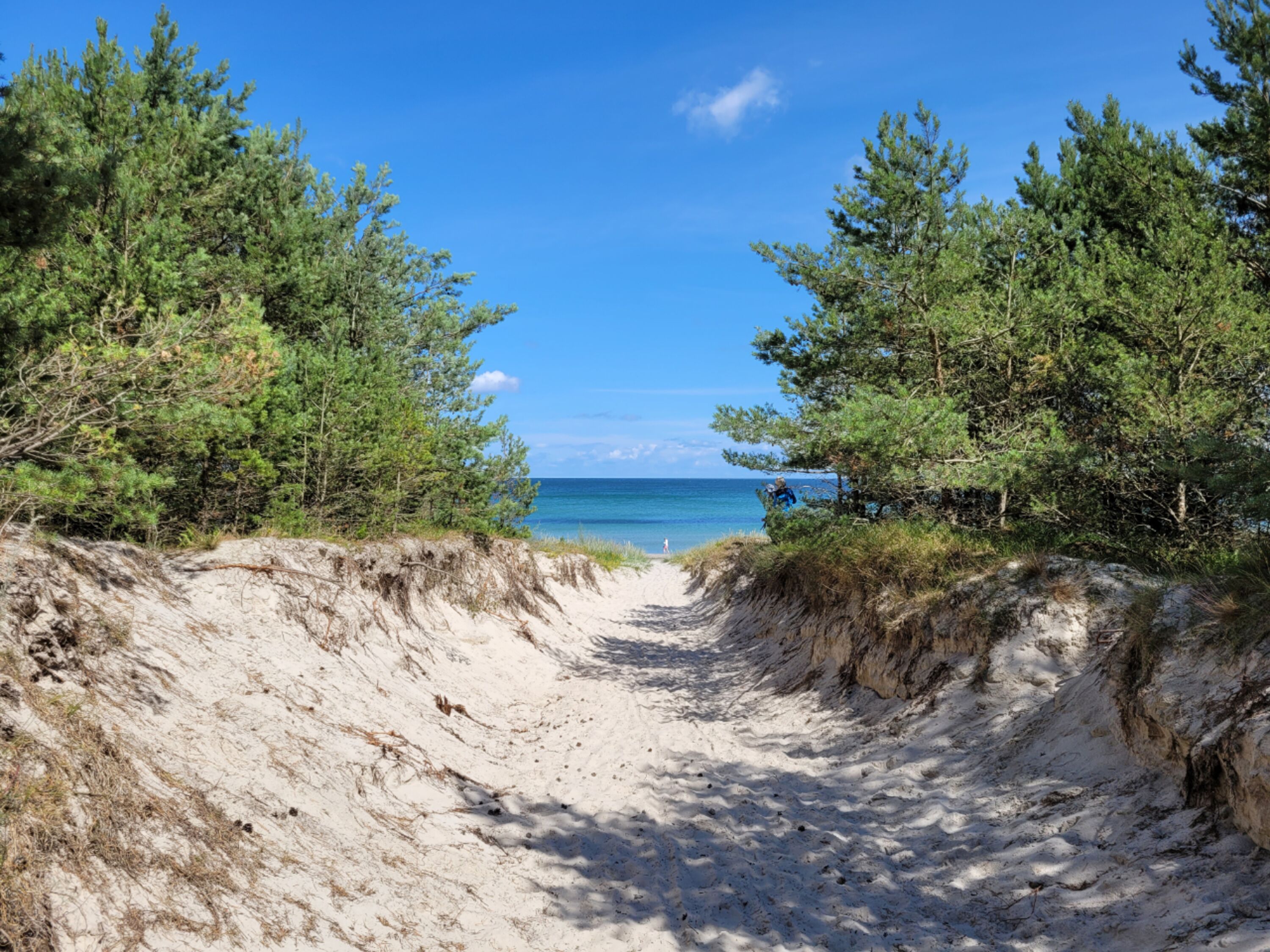 Strand