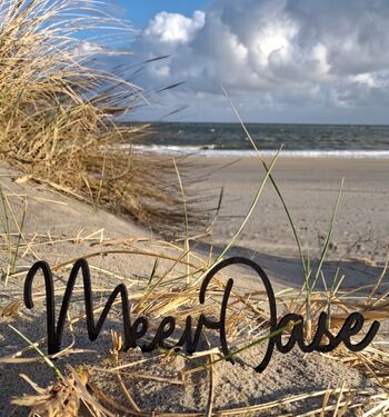 Luxus Chalet MeerOase, Zeeland nur 318 Schritte zum Strand,  ...