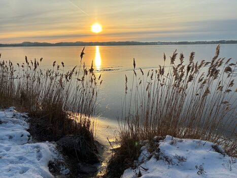 Winterstimmung an der Schlei