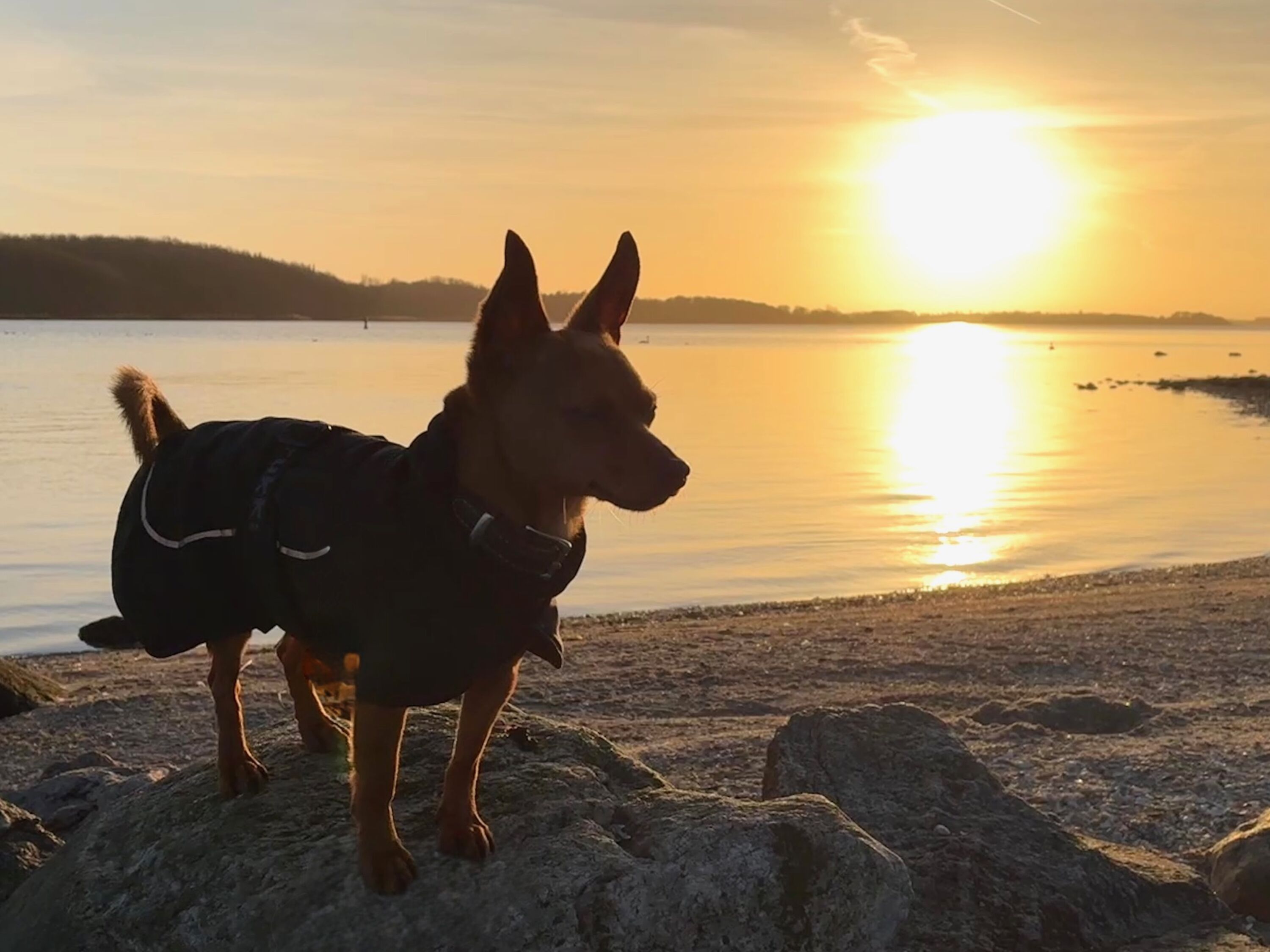 Cooper an der Schlei