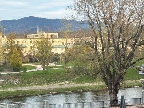 Aussicht auf den Park