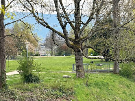 Umgebung für den Spaziergang