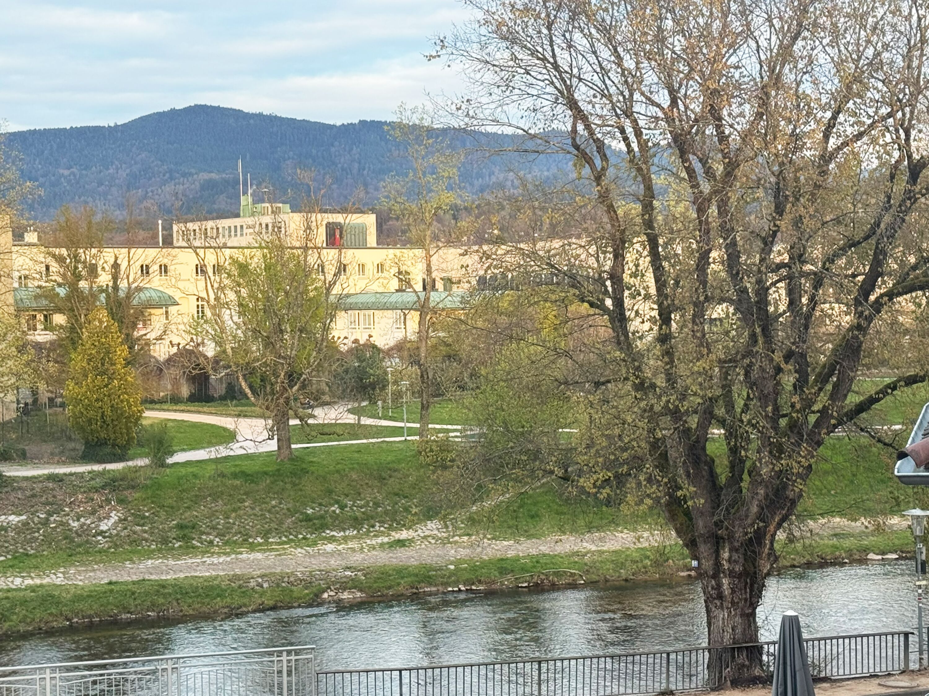 Aussicht auf den Park