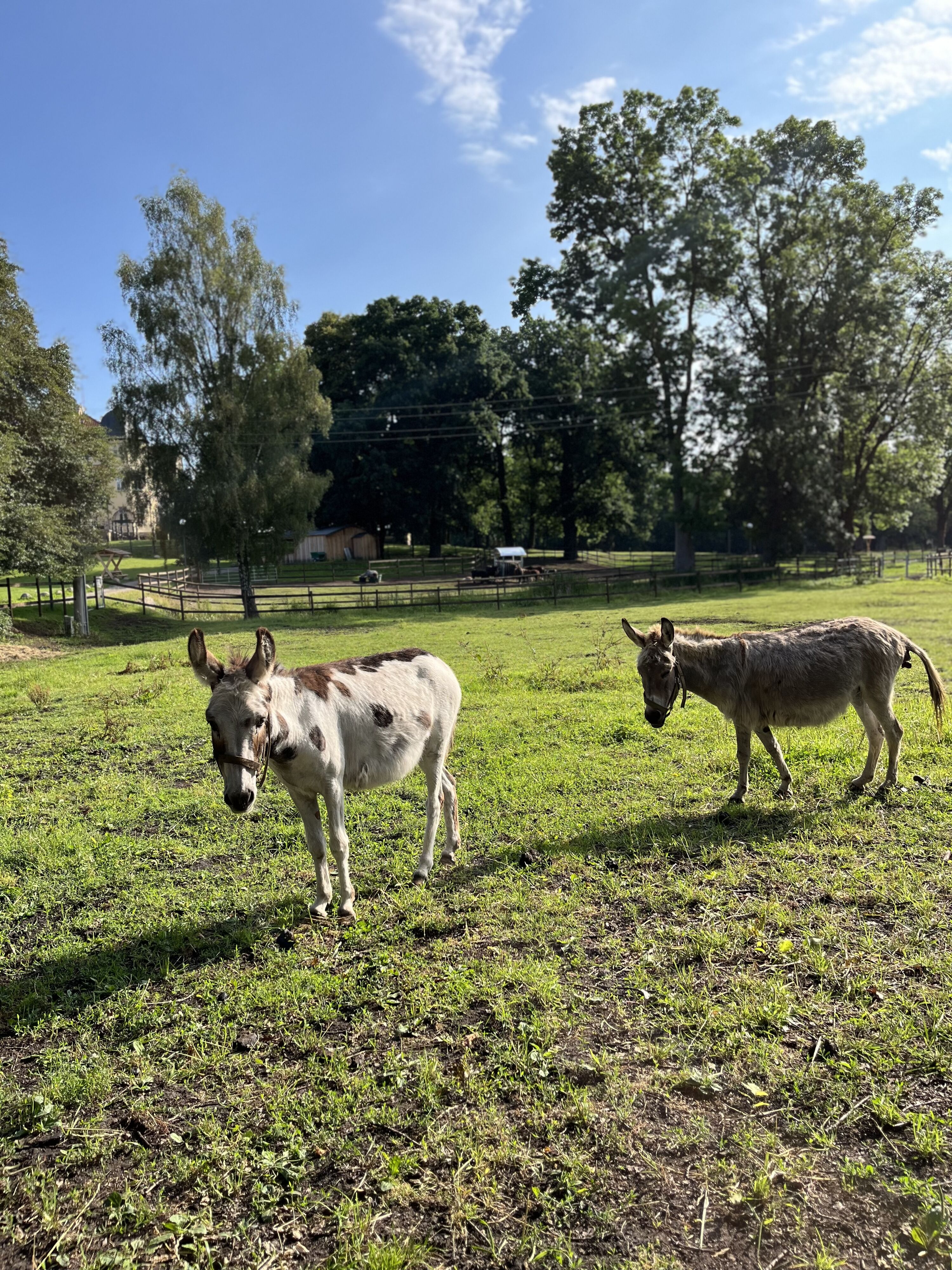 Bild 14
