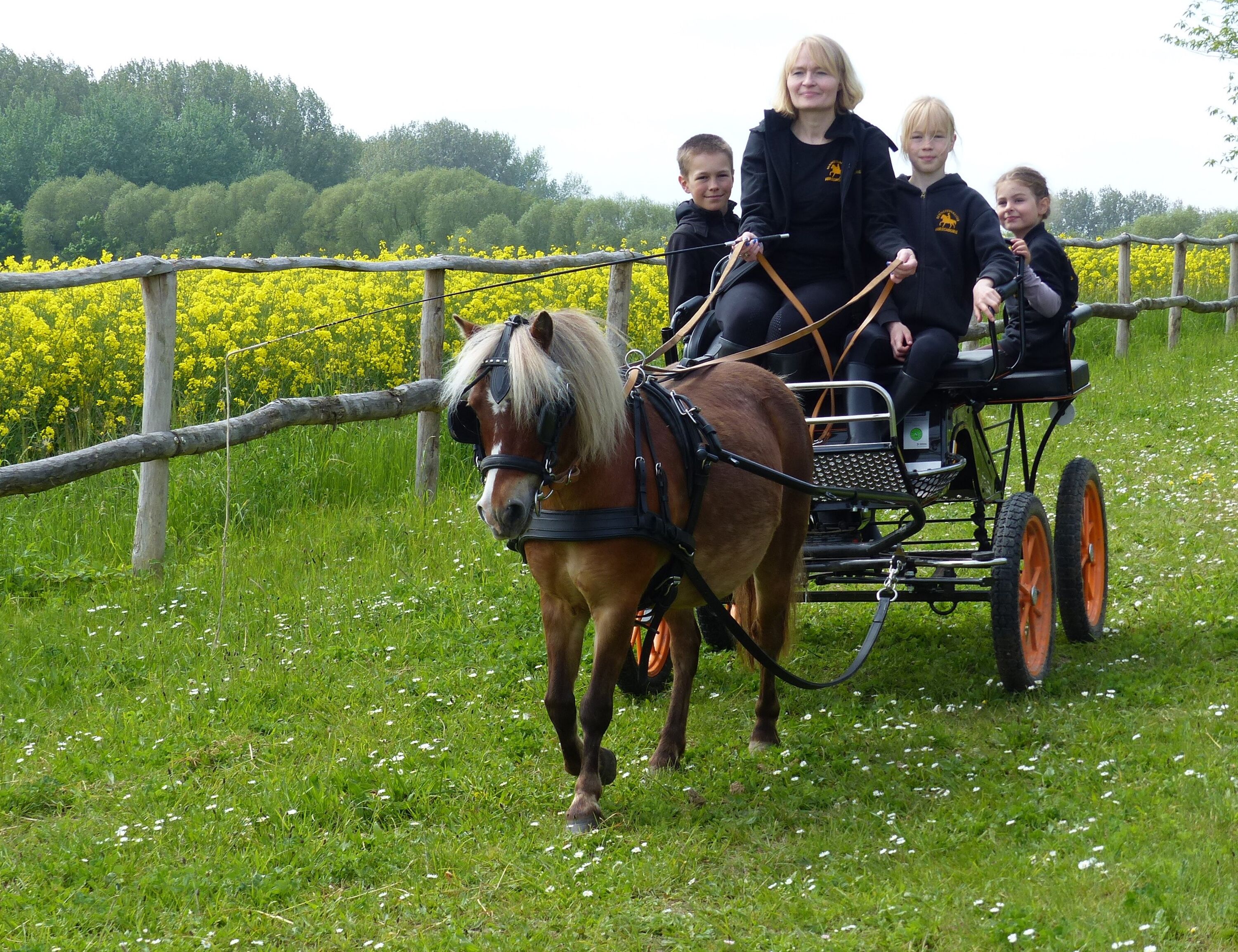 Bild 26