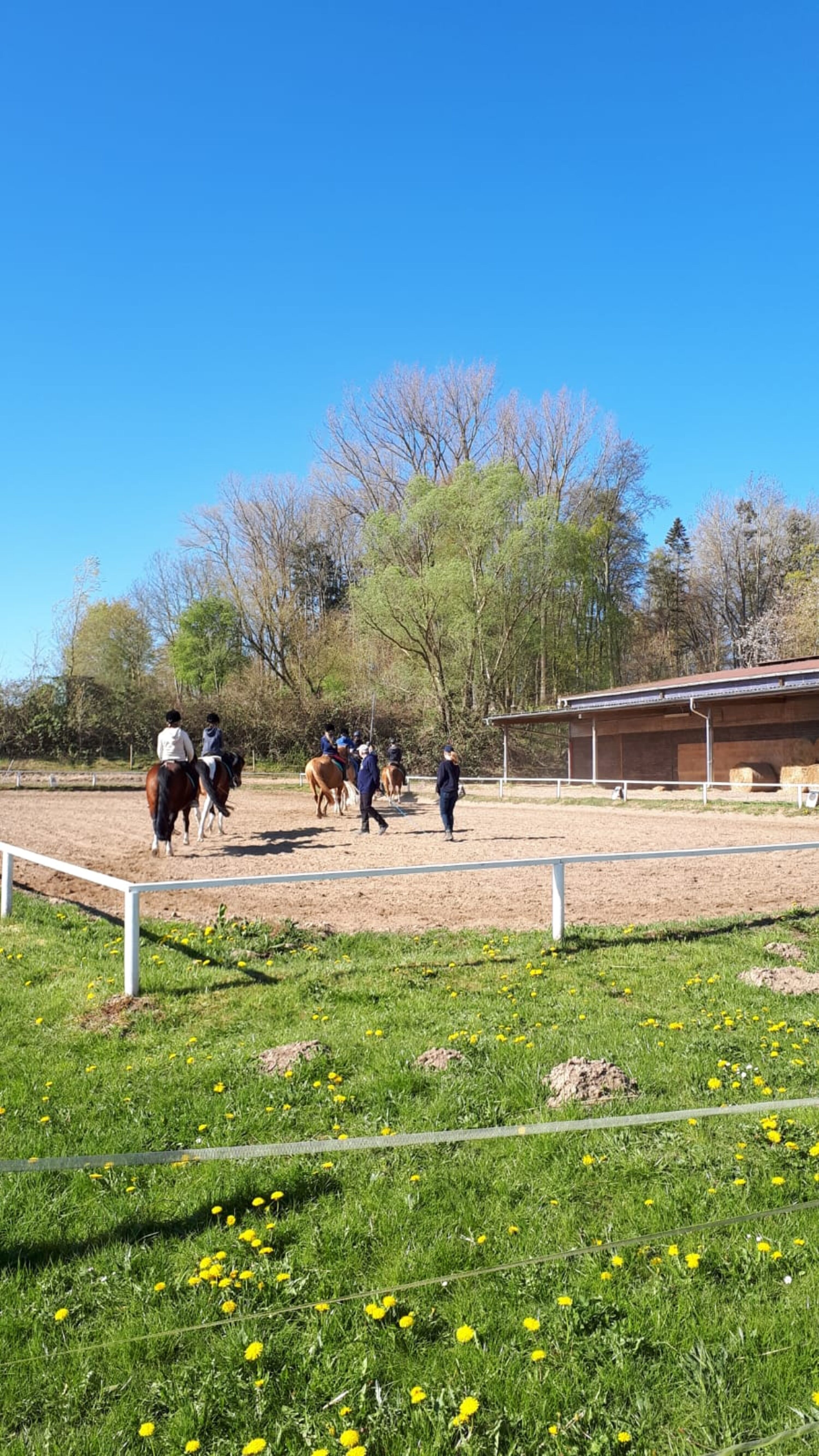 Bild 16
