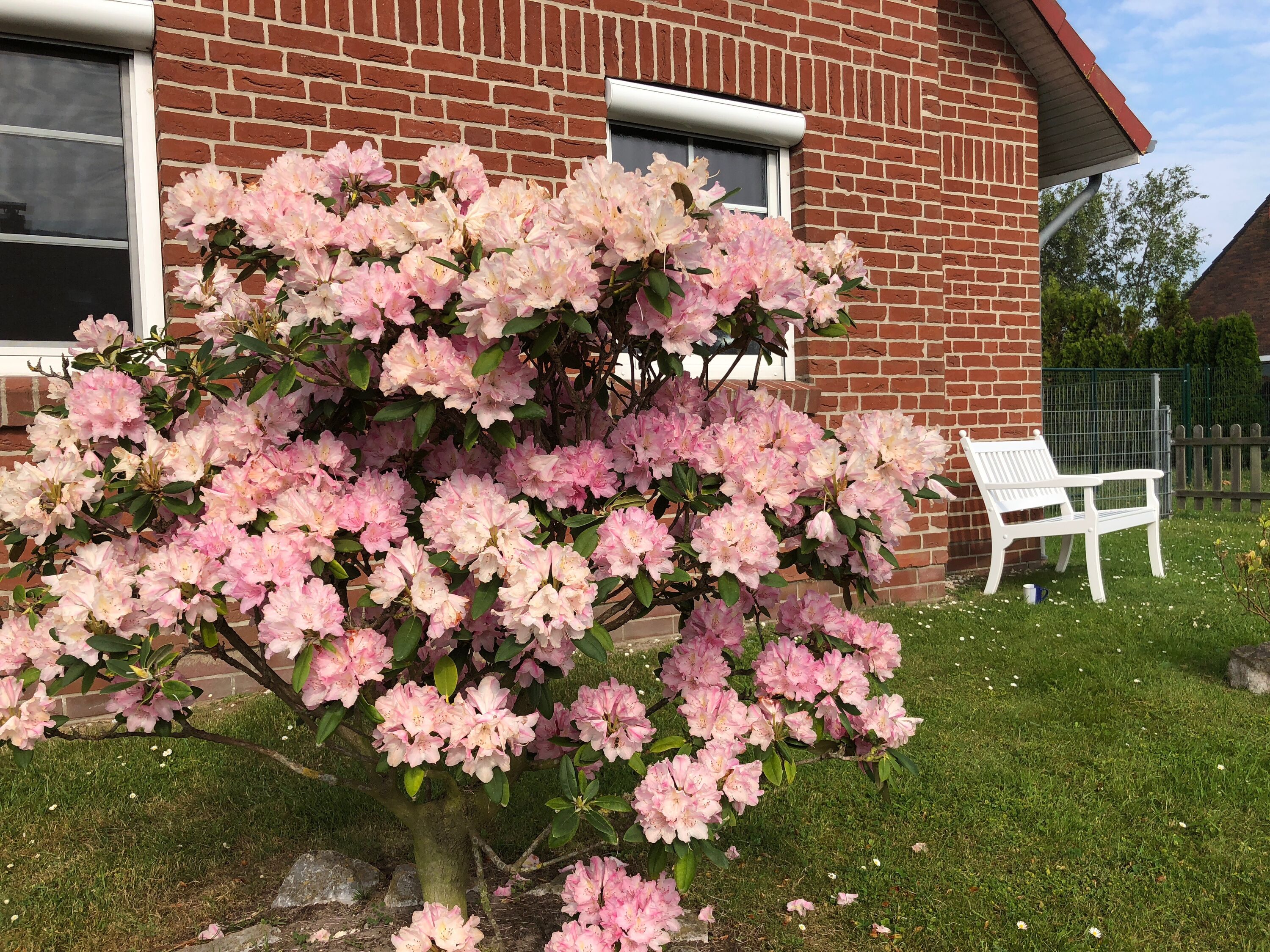 Bild 23