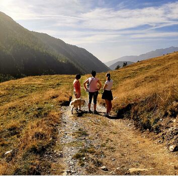 Herbstliche Ruhe in den Bergen. Spaziergang mit Hund über die Almen mit freirer fernsicht auf die beeindruckende Alpenlandschaft rund um Heiligenblut