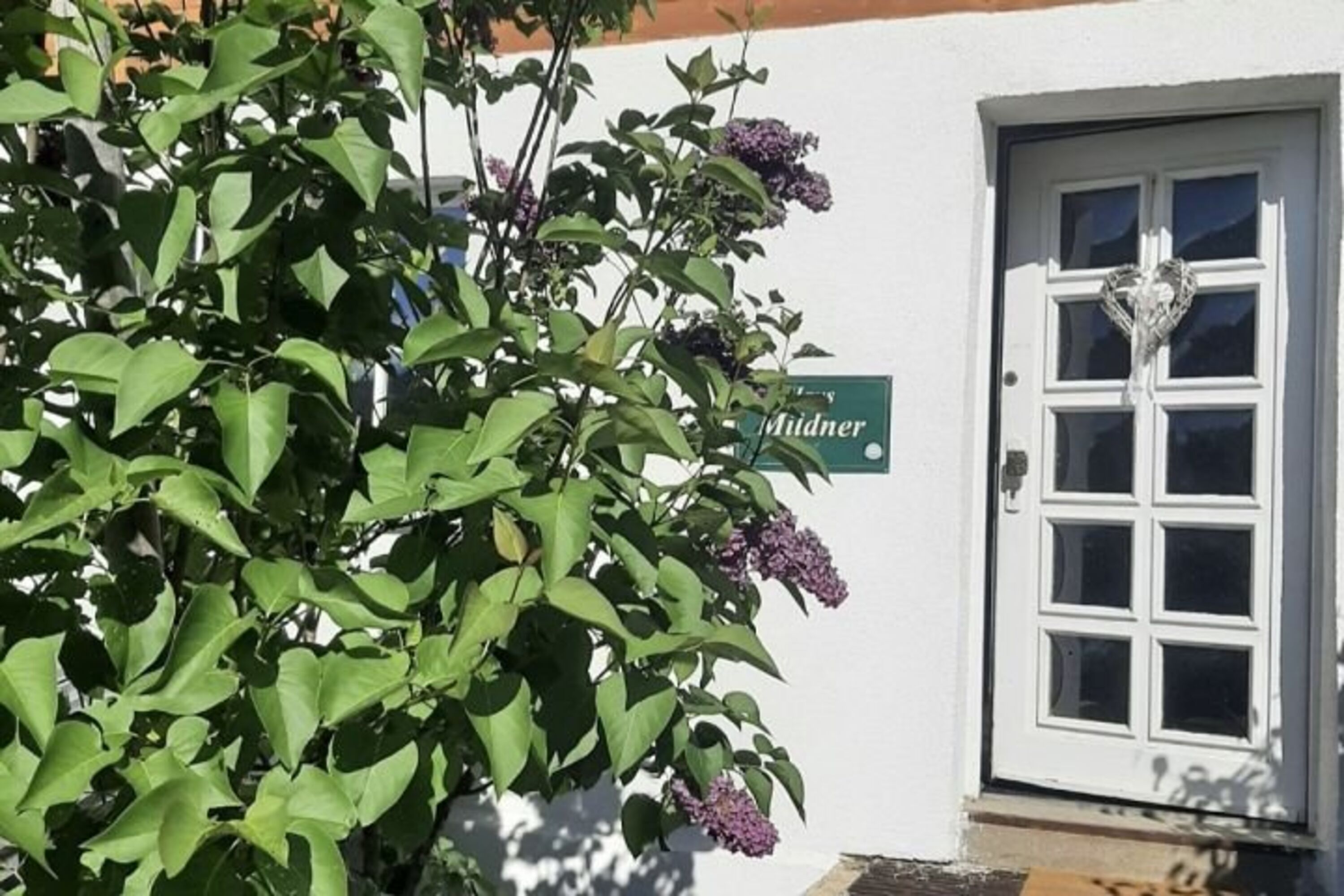 Bild 9