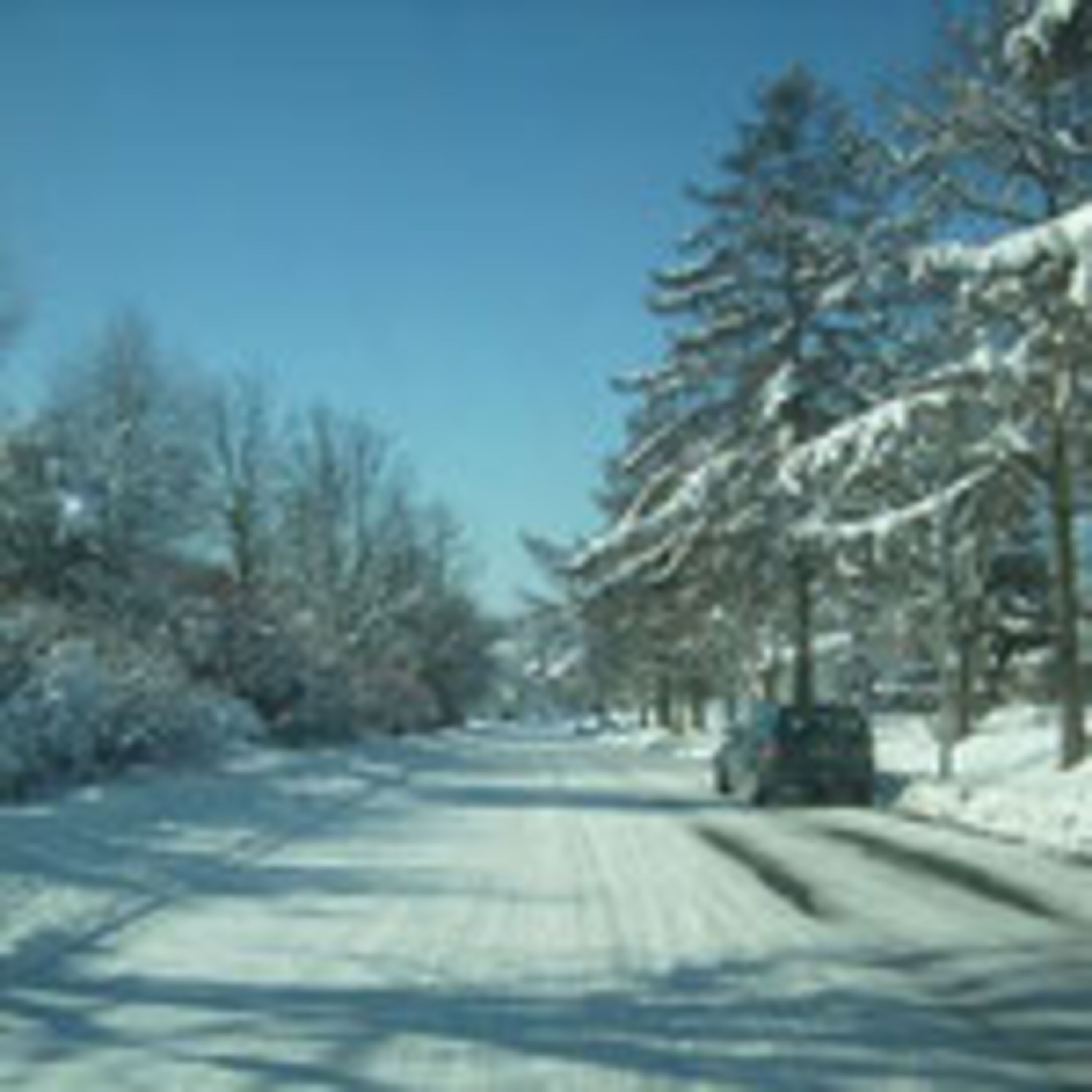 Winter in Zainingen