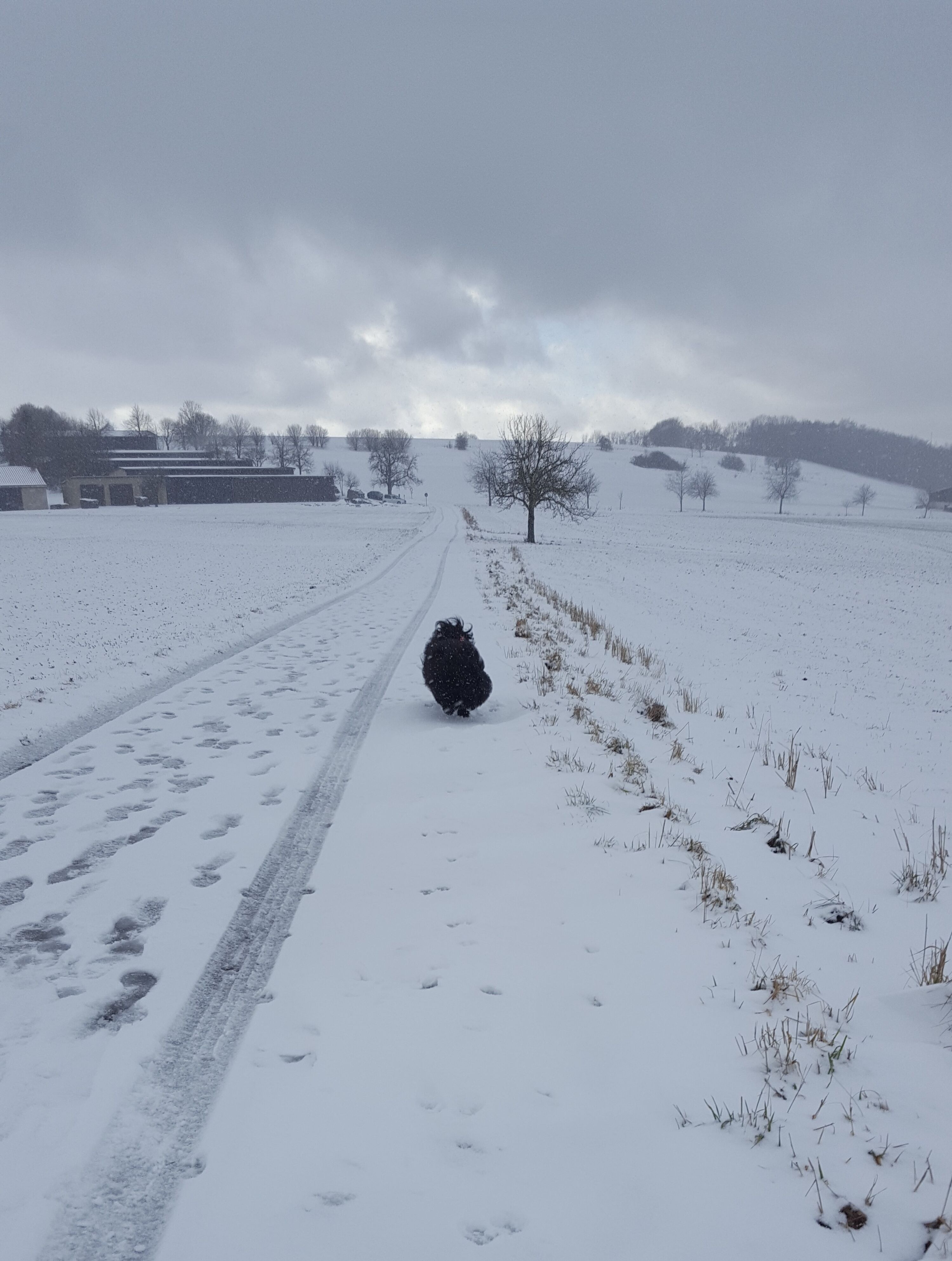 Winter in Zainingen