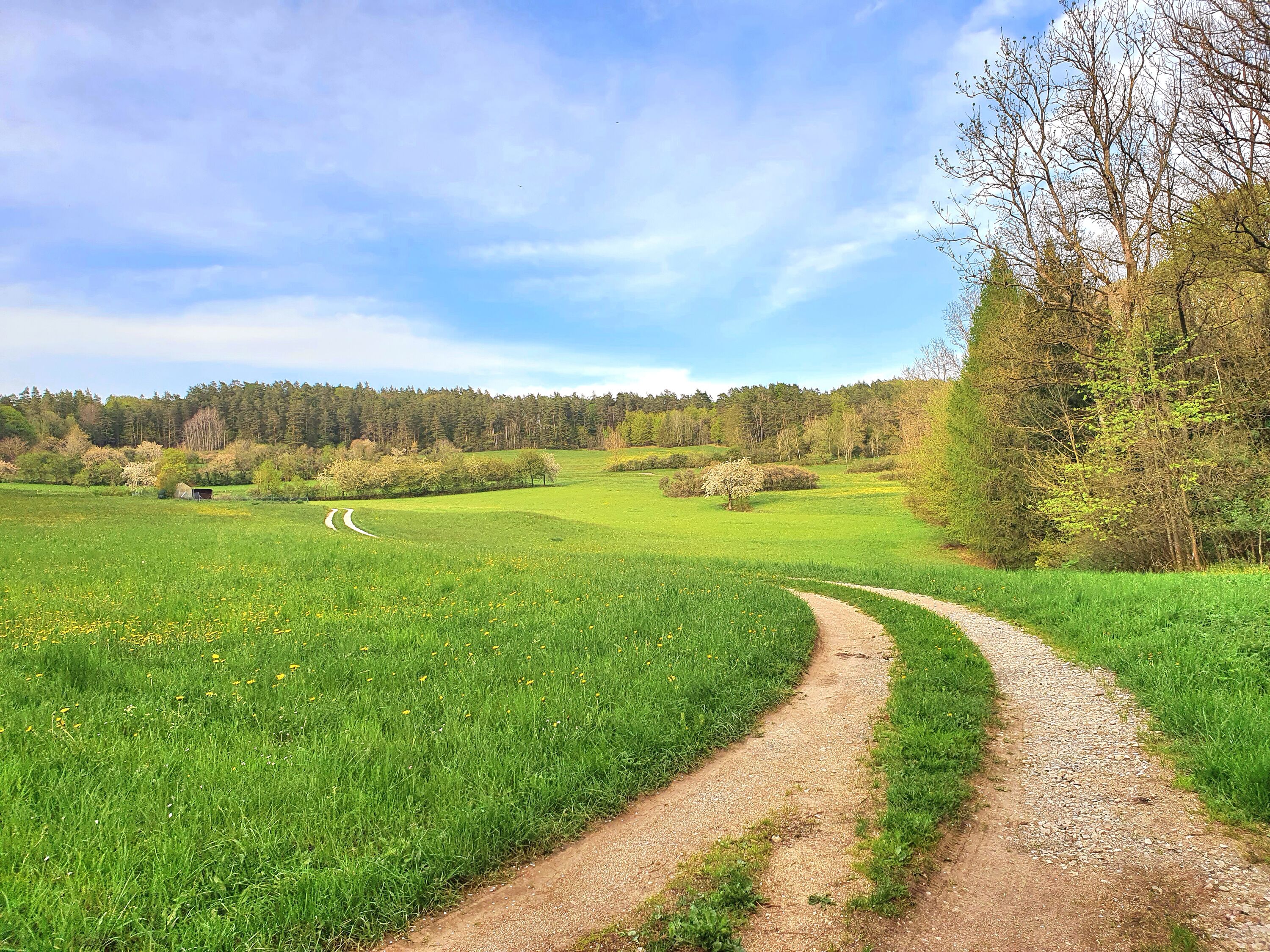 Straßenferne Lage inmitten Landschaftsschutzgebiet