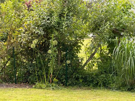 Ferienhaus Villa Relax Ooghduyne komplett eingezäunter Garten