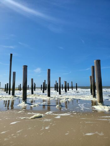 Strand bei Petten