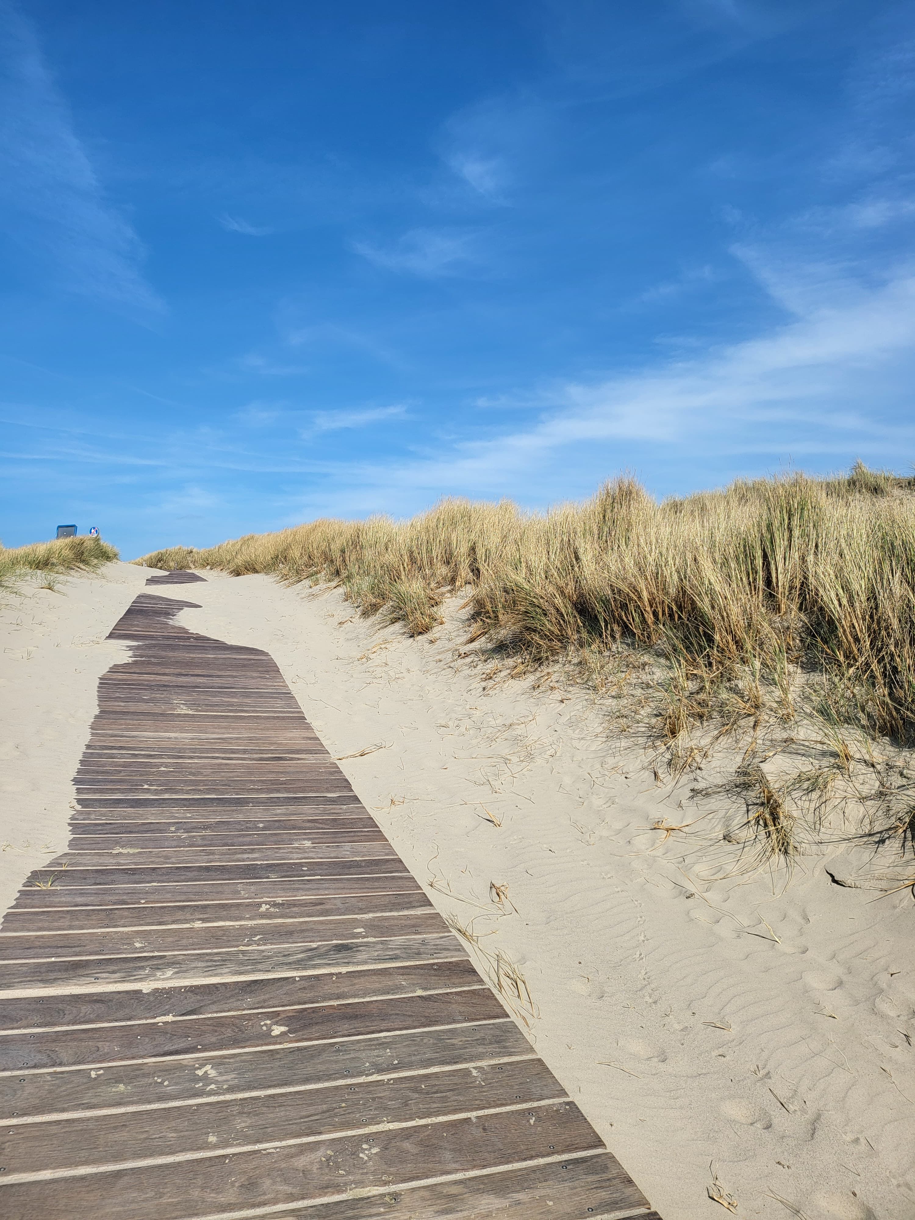 Strand bei Petten