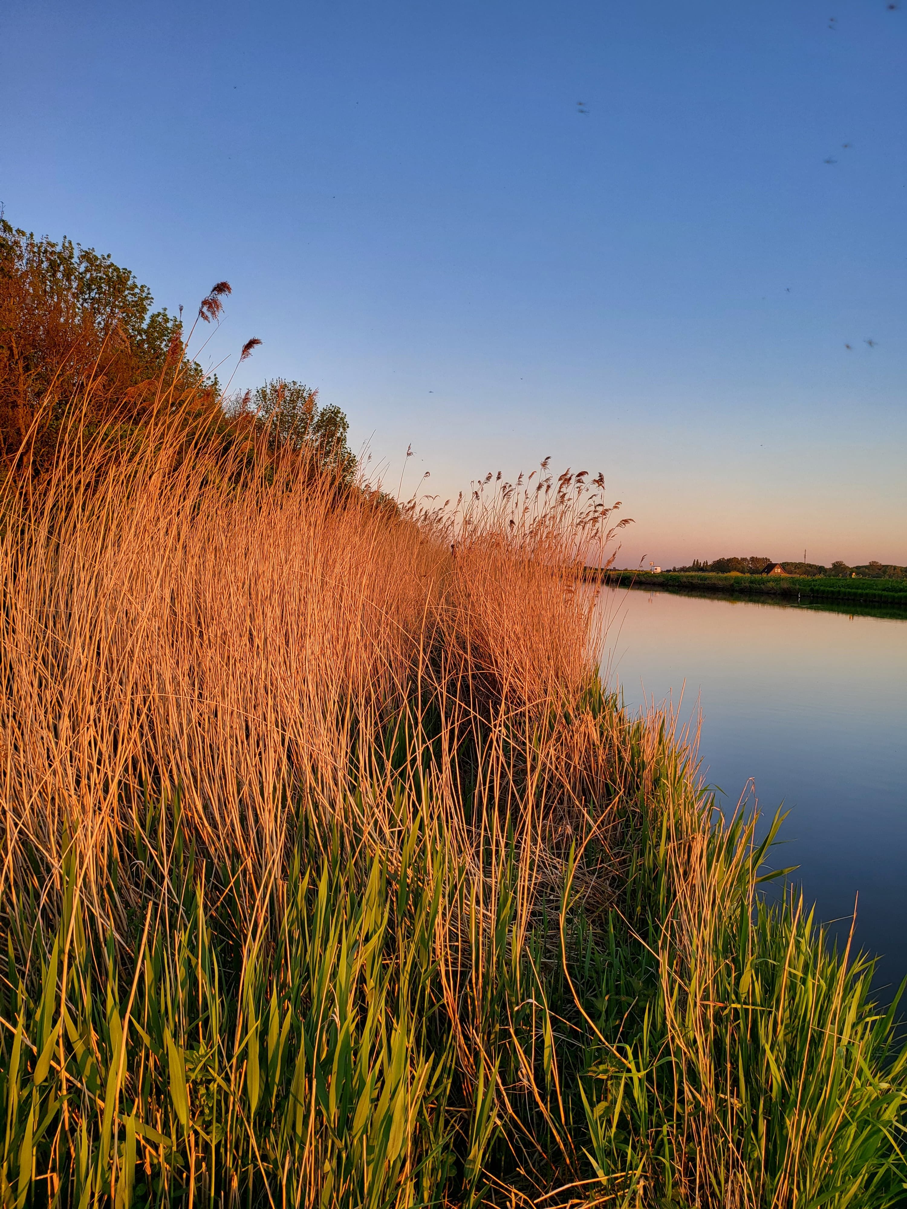 Nordhollandkanal